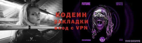 ГАЛЛЮЦИНОГЕННЫЕ ГРИБЫ Алзамай