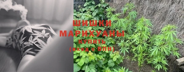ГАЛЛЮЦИНОГЕННЫЕ ГРИБЫ Алзамай
