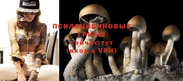 ГАЛЛЮЦИНОГЕННЫЕ ГРИБЫ Алзамай