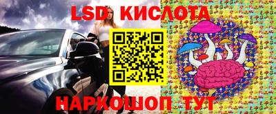 крисы Сланцы