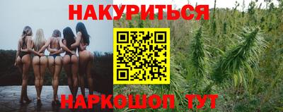 крисы Сланцы