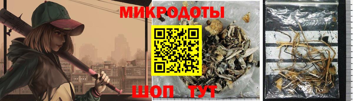 Псилоцибиновые грибы Cubensis Череповец
